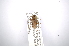  ( - INBIOCRI001183079)  @12 [ ] Copyright (2012) A. Solis Instituto Nacional de Biodiversidad