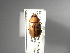  ( - INBIOCRI001186948)  @13 [ ] Copyright (2010) A. Solis Unspecified