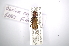  ( - INBIOCRI001326749)  @11 [ ] Copyright (2012) A. Solis Instituto Nacional de Biodiversidad