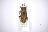  ( - INBIOCRI001336810)  @14 [ ] Copyright (2012) A. Solis Instituto Nacional de Biodiversidad