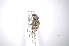  ( - INBIOCRI001677423)  @11 [ ] Copyright (2012) A. Solis Instituto Nacional de Biodiversidad