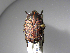  ( - INBIOCRI001734663)  @11 [ ] Copyright (2010) A. Solis Unspecified