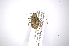  ( - INBIOCRI001745900)  @11 [ ] Copyright (2012) A. Solis Instituto Nacional de Biodiversidad