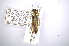  ( - INBIOCRI001810865)  @11 [ ] Copyright (2012) A. Solis Instituto Nacional de Biodiversidad