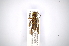  ( - INBIOCRI001887075)  @12 [ ] Copyright (2012) A. Solis Instituto Nacional de Biodiversidad