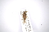  ( - INBIOCRI001920238)  @12 [ ] Copyright (2012) A. Solis Instituto Nacional de Biodiversidad