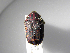  ( - INBIOCRI001937963)  @11 [ ] Copyright (2010) A. Solis Unspecified