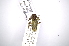  ( - INBIOCRI001967779)  @12 [ ] Copyright (2012) A. Solis Instituto Nacional de Biodiversidad