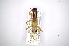  ( - INBIOCRI001987528)  @11 [ ] Copyright (2012) A. Solis Instituto Nacional de Biodiversidad