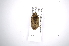  ( - INBIOCRI002074954)  @11 [ ] Copyright (2012) A. Solis Instituto Nacional de Biodiversidad