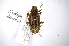  ( - INBIOCRI002112865)  @11 [ ] Copyright (2012) A. Solis Instituto Nacional de Biodiversidad