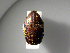  ( - INBIOCRI002407488)  @11 [ ] Copyright (2010) A. Solis Unspecified
