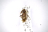  ( - INBIOCRI002421581)  @11 [ ] Copyright (2012) A. Solis Instituto Nacional de Biodiversidad