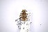  ( - INBIOCRI002448693)  @11 [ ] Copyright (2012) A. Solis Instituto Nacional de Biodiversidad