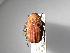  ( - INBIOCRI002480862)  @11 [ ] Copyright (2010) A. Solis Unspecified