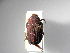  ( - INBIOCRI002593260)  @13 [ ] Copyright (2010) A. Solis Unspecified