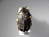  ( - INBIOCRI002607781)  @11 [ ] Copyright (2010) A. Solis Unspecified