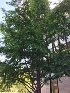  ( - JV_K14)  @11 [ ] Unspecified (default): All Rights Reserved  Unspecified Unspecified