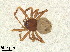  ( - BL-10540Y-A01)  @12 [ ] CreativeCommons - Attribution Non-Commercial Share-Alike (2016) Alex Smith University of Guelph