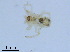  ( - BL-10540Y-C03)  @11 [ ] CreativeCommons - Attribution Non-Commercial Share-Alike (2016) Alex Smith University of Guelph