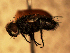  ( - EE-3515-92R)  @12 [ ] Unspecified (default): All Rights Reserved  Unspecified Unspecified