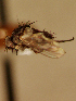  ( - EE-1804-90R P2)  @11 [ ] Unspecified (default): All Rights Reserved  Unspecified Unspecified