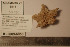  ( - CEAMARC_V3_5811)  @11 [ ] Unspecified (default): All Rights Reserved  Copyright Unspecified
