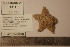  ( - CEAMARC_V3_5811)  @11 [ ] Unspecified (default): All Rights Reserved  Copyright Unspecified