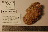  ( - CEAMARC_V3_5934)  @11 [ ] Unspecified (default): All Rights Reserved  Copyright Unspecified