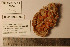  ( - CEAMARC_V3_5934)  @11 [ ] Unspecified (default): All Rights Reserved  Copyright Unspecified