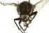  ( - DHJPAR0006218)  @13 [ ] Unspecified (default): All Rights Reserved  Unspecified Unspecified