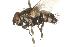  ( - DHJPAR0007816)  @13 [ ] Unspecified (default): All Rights Reserved  Unspecified Unspecified