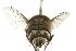  ( - DHJPAR0007816)  @14 [ ] Unspecified (default): All Rights Reserved  Unspecified Unspecified