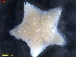  ( - IceAGE_RR_60871)  @11 [ ] Unspecified (default): All Rights Reserved  Unspecified Unspecified