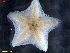  ( - IceAGE_RR_60871)  @11 [ ] Unspecified (default): All Rights Reserved  Unspecified Unspecified