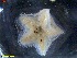  ( - IceAGE_RR_63443_1)  @11 [ ] Unspecified (default): All Rights Reserved  Unspecified Unspecified