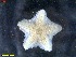  ( - IceAGE_RR_63443_2)  @11 [ ] Unspecified (default): All Rights Reserved  Unspecified Unspecified