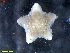  ( - IceAGE_RR_63443_2)  @11 [ ] Unspecified (default): All Rights Reserved  Unspecified Unspecified