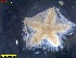  ( - IceAGE_33696_2)  @11 [ ] Unspecified (default): All Rights Reserved  Unspecified Unspecified