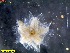  ( - IceAGE_55463_10)  @11 [ ] Unspecified (default): All Rights Reserved  Unspecified Unspecified