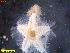  ( - IceAGE_55463_3)  @11 [ ] Unspecified (default): All Rights Reserved  Unspecified Unspecified