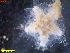  ( - IceAGE_55463_3)  @11 [ ] Unspecified (default): All Rights Reserved  Unspecified Unspecified