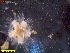  ( - IceAGE_55463_5)  @11 [ ] Unspecified (default): All Rights Reserved  Unspecified Unspecified