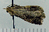  ( - ASTOR-11-0008)  @11 [ ] Unspecified (default): All Rights Reserved  Unspecified Unspecified
