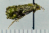  ( - ASTOR-11-0014)  @11 [ ] Unspecified (default): All Rights Reserved  Unspecified Unspecified
