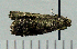 ( - ASTOR-11-0017)  @12 [ ] Unspecified (default): All Rights Reserved  Unspecified Unspecified