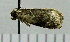  ( - ASTOR-11-0019)  @11 [ ] Unspecified (default): All Rights Reserved  Unspecified Unspecified