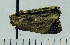  ( - ASTOR-11-0049)  @12 [ ] Unspecified (default): All Rights Reserved  Unspecified Unspecified