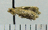  ( - ASTOR-11-0055)  @12 [ ] Unspecified (default): All Rights Reserved  Unspecified Unspecified