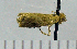  ( - ASTOR-11-0056)  @12 [ ] Unspecified (default): All Rights Reserved  Unspecified Unspecified